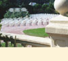 Ceremony Garden chairs photo