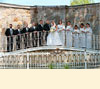 Wedding Party photo